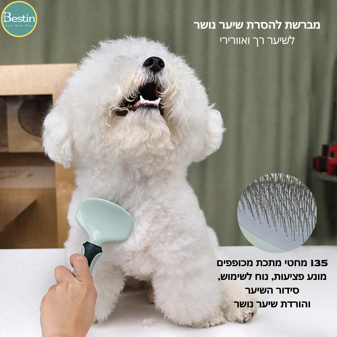 ערכת עיסוי וטיפוח - מארז חסכון